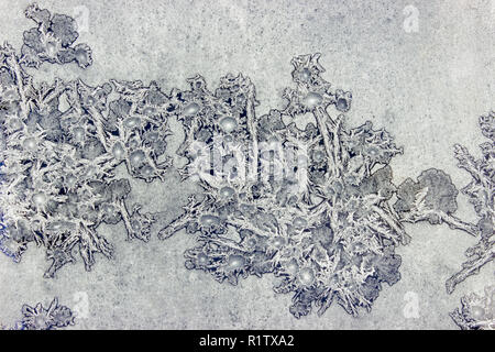 Gefrorenes Wasser auf dem Fenster schafft Silber schöne Dekoration Ornamente. Stockfoto