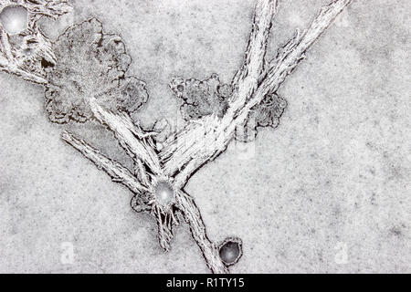 Gefrorenes Wasser auf dem Fenster schafft Silber schöne Dekoration Ornamente. Stockfoto