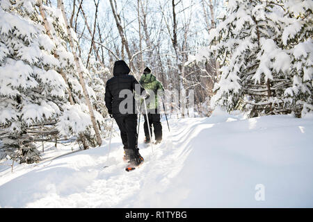 Zwei Schneeschuhe Menschen im Wald von zurück Stockfoto
