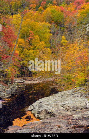 Herbst Laub überragt den kleinen Fluss, Great Smoky Mountains National Park, Tennessee, USA Stockfoto