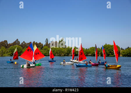 Die Studierenden erhalten, Segeln Lektionen am See Rua in Canterbury, Neuseeland Stockfoto