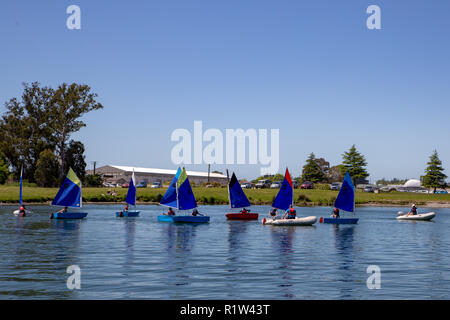 Die Studierenden erhalten, Segeln Lektionen am See Rua in Canterbury, Neuseeland Stockfoto