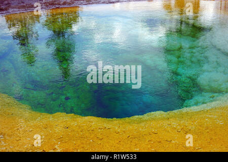 Blick auf die Morning Glory Pool im Yellowstone National Park, United States Stockfoto