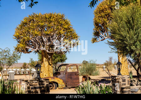 Quivertree altes Auto Namibia fishriver roadhouse Afrika Stockfoto