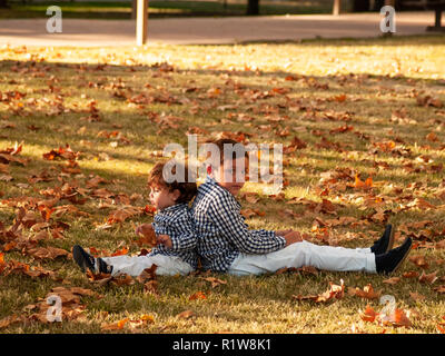 Zwei Bruder Jungen spielen mit die Blätter von den Bäumen auf dem Boden in einem Park im Herbst gefallen Stockfoto