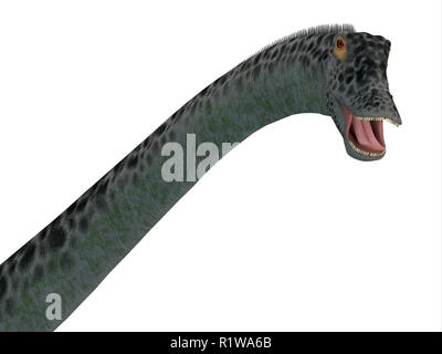 Diplodocus war ein Sauropoden pflanzenfressende Dinosaurier, die in Nordamerika während der Kreidezeit lebten. Stockfoto