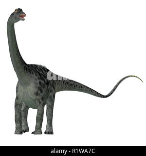 Diplodocus war ein Sauropoden pflanzenfressende Dinosaurier, die in Nordamerika während der Kreidezeit lebten. Stockfoto