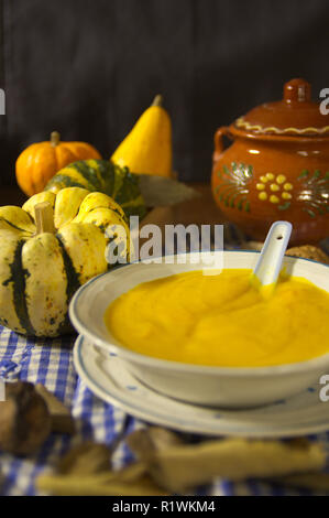 Präsentation der traditionellen Gericht aus einem Kürbis Creme mit Einige Kürbisse dekorieren den Tisch und dunklen Hintergrund Stockfoto