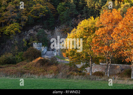 Thomas Telfords Craigellachie Brücke über den River Spey in Schottland. Stockfoto