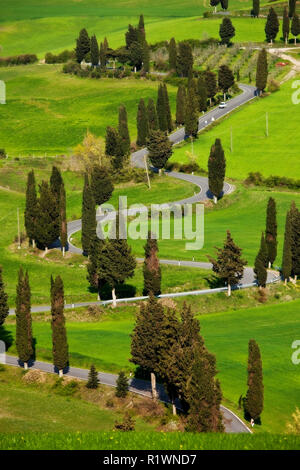 Strada di Monticciello, in der Nähe von Pienza, Toskana, Italien Stockfoto