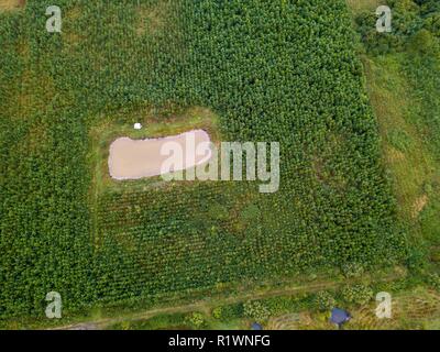 Kleinen Teich und Camping auf Felder. Von oben nach unten drone Landschaft. Stockfoto