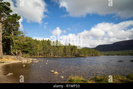 Loch ein Eilein im Cairngorms Nationalpark von Schottland. Stockfoto