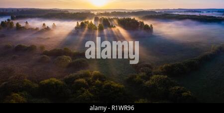 Nebeliger morgen auf die Wiese. Luftaufnahmen Landschaft. Schöne polnische Wiese im Sommer Sonnenaufgang. Stockfoto