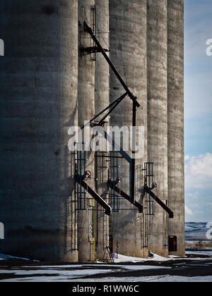 Grauer Beton Rundschreiben Storage tubes ein Getreidesilo mit dunklen, die Trinkschnäbel in Kent, Washington, USA Stockfoto