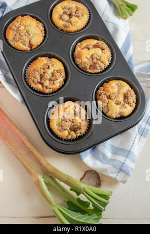 Rhabarber-Muffins Stockfoto