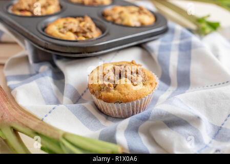 Rhabarber-Muffins Stockfoto