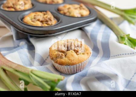 Rhabarber-Muffins Stockfoto