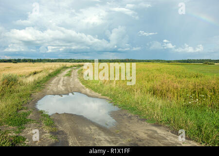 Große Pfütze auf einem Feldweg durch Felder und Wolken im Himmel Stockfoto