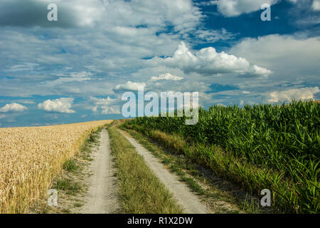 Unbefestigte Straße durch Felder, Horizont und Wolken im Himmel Stockfoto