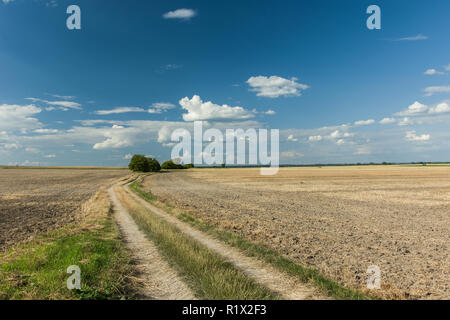 Eine unbefestigte Straße durch gepflügten Feldern Stockfoto