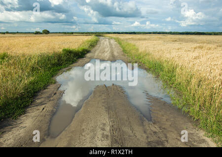 Große Pfütze auf einem Feldweg durch Felder, Horizont und Wolken im Himmel Stockfoto