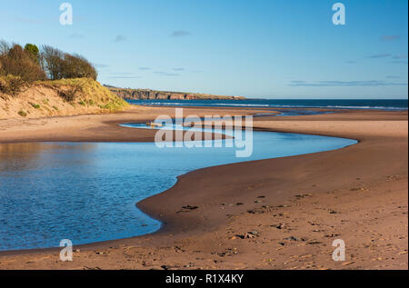 Lunan Wasserschlangen an der Nordsee halbierend Lunan Bay Beach, Angus, Schottland. Stockfoto