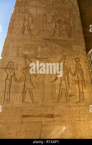 Reliefs an den Wänden am Tempel von Edfu. Ein ägyptischer Tempel befindet sich auf dem Westufer des Nils in Edfu, Ägypten, Nordafrika Stockfoto