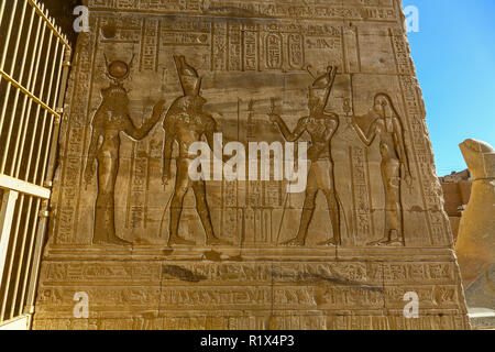 Reliefs an den Wänden am Tempel von Edfu. Ein ägyptischer Tempel befindet sich auf dem Westufer des Nils in Edfu, Ägypten, Nordafrika Stockfoto