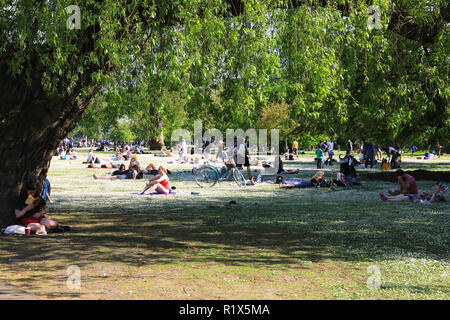 Regents Park im Frühling in London, Großbritannien Stockfoto