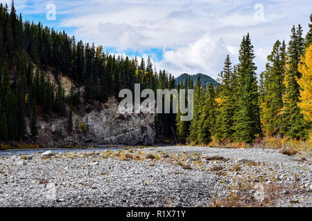 Herbst Farben auf der Spur in den Ausläufern von Alberta Stockfoto
