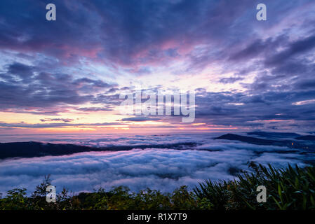 Schöne Natur Landschaft der Nebel deckt den Gipfel und die bunte Himmel bei Sonnenaufgang im Winter, hohe Betrachtungswinkel aus der Sicht von Phu R Stockfoto