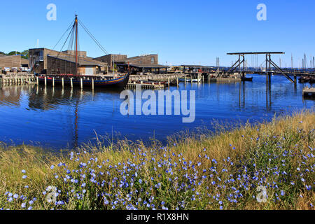 Allgemeine Ansicht des Schiffes Bauhof mit rekonstruierten Wikingerschiffen im Viking Ship Museum in Roskilde, Dänemark Stockfoto