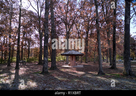 Ein Abstauben von Schnee bedeckt das Dach eines picknickschutz an der Post Oak Rastplatz in der Nähe von Salem, Illinois Anfang November. Stockfoto