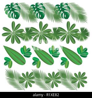 Horizontale Muster. Blätter von tropischen Pflanzen. Isolierte Elemente. Monstera, Ficus, Palme Schefflera Stock Vektor