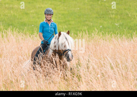 Schwarzwald Pferd. Reiter auf einem Wallach steht im hohen Gras. Deutschland. Stockfoto