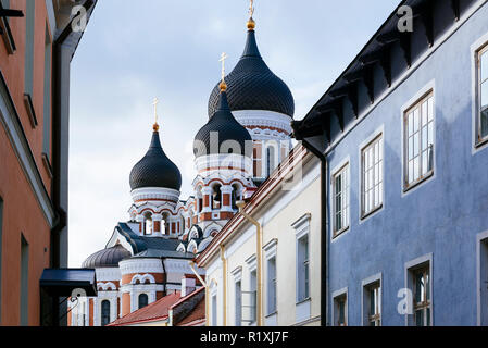 Die zwiebeltürme der Alexander-Newski-Kathedrale Blick über die Dächer. Tallinn, Harjumaa, Estland, Baltikum, Europa. Stockfoto