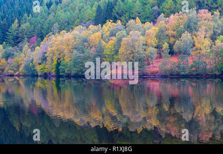 Herbst am Loch Tummel Schottland Stockfoto