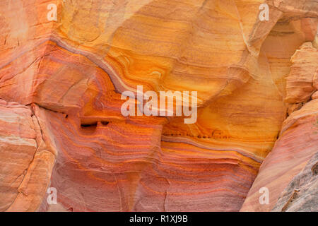 Verwitterter Sandsteine in einem Slot Canyon entlang der weißen Kuppeln Trail, Valley of Fire State Park, Nevada, USA Stockfoto