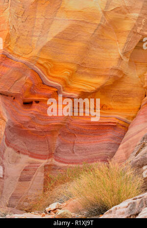 Verwitterter Sandsteine in einem Slot Canyon entlang der weißen Kuppeln Trail, Valley of Fire State Park, Nevada, USA Stockfoto