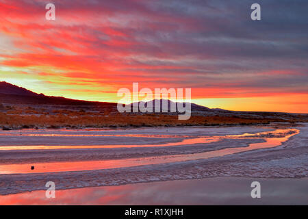 Cottonball Becken Salt Flats, Kanäle und Panamint Mountains bei Sonnenaufgang, Death Valley National Park, Kalifornien, USA Stockfoto