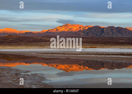 Dawn Reflexionen im Solebecken im Becken Cottonball, Death Valley National Park, Kalifornien, USA Stockfoto