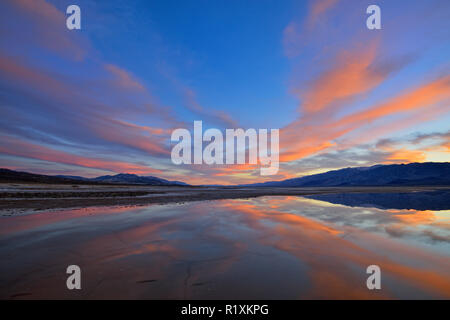 Dawn Reflexionen im Solebecken im Becken Cottonball, Death Valley National Park, Kalifornien, USA Stockfoto