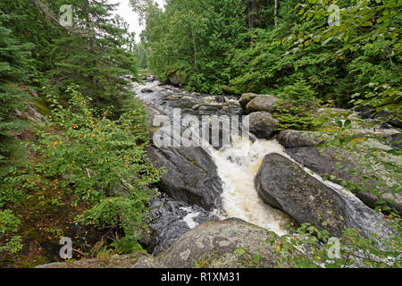 Tosende Gewässer in den Pinien von der Boundary Waters in Minnesota Stockfoto