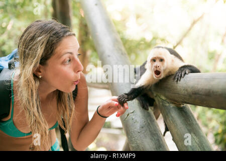 Ein neugieriger Affe holding Frau Hand in Wald Stockfoto