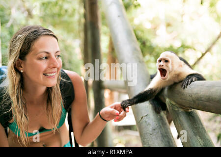 Ein neugieriger Affe holding Frau Hand in Wald Stockfoto