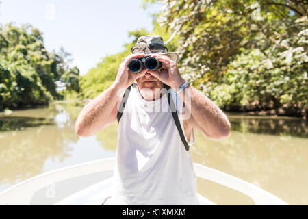 Mangrove schöner Ausflug auf dem Boot Stockfoto