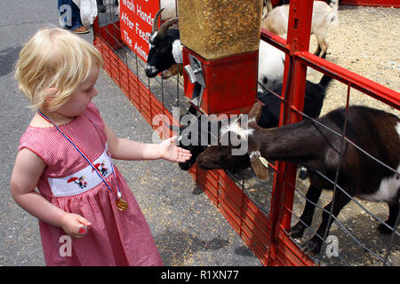 Junge Mädchen Fütterung eine junge Ziege im Streichelzoo am Mayberry Tag Festival in Mt. Luftig, NC, USA Stockfoto