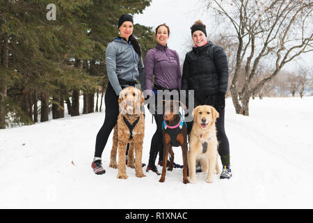 Eine Canicross Gruppe von Frau Schlittenhunde im Winter Stockfoto