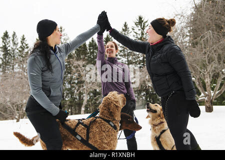 Eine Canicross Gruppe von Frau Schlittenhunde im Winter Stockfoto