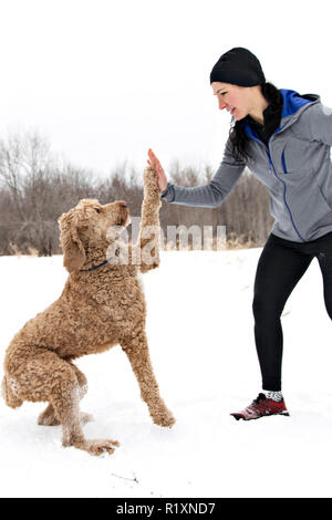 Eine Frau mit goldendoodle Wintersaison Stockfoto